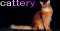 Cattery NYAN-NYAN